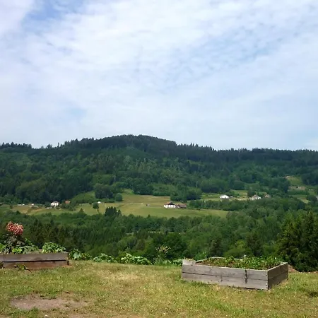 Chalet De Jasmelie En Pleine Nature 2a 8 Personnes Ramonchamp
