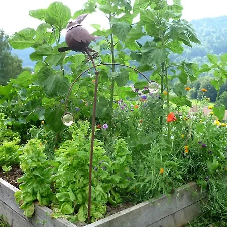 Σαλέ De Jasmelie En Pleine Nature 2a 8 Personnes Ramonchamp
