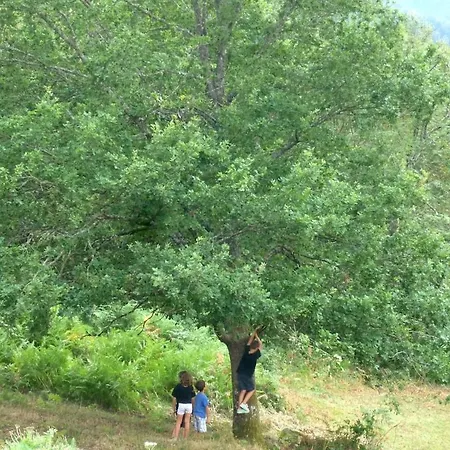 De Jasmelie En Pleine Nature 2a 8 Personnes Ramonchamp